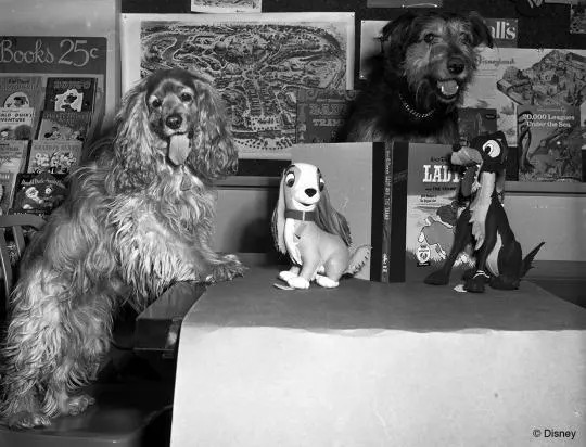 Why the Iconic 'Lady and the Tramp' Spaghetti Kiss Scene Almost ...